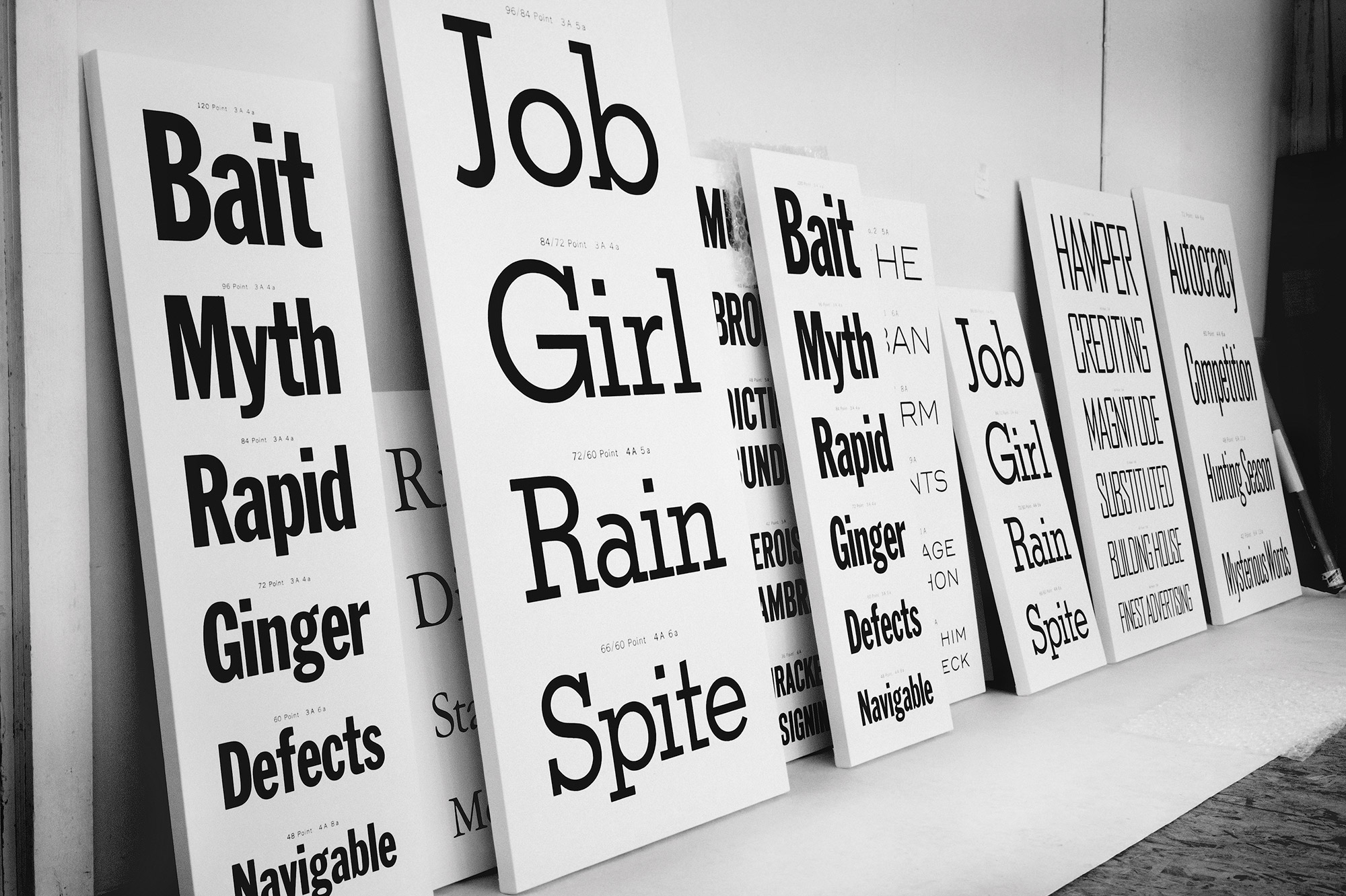 AMERICAN TYPES series