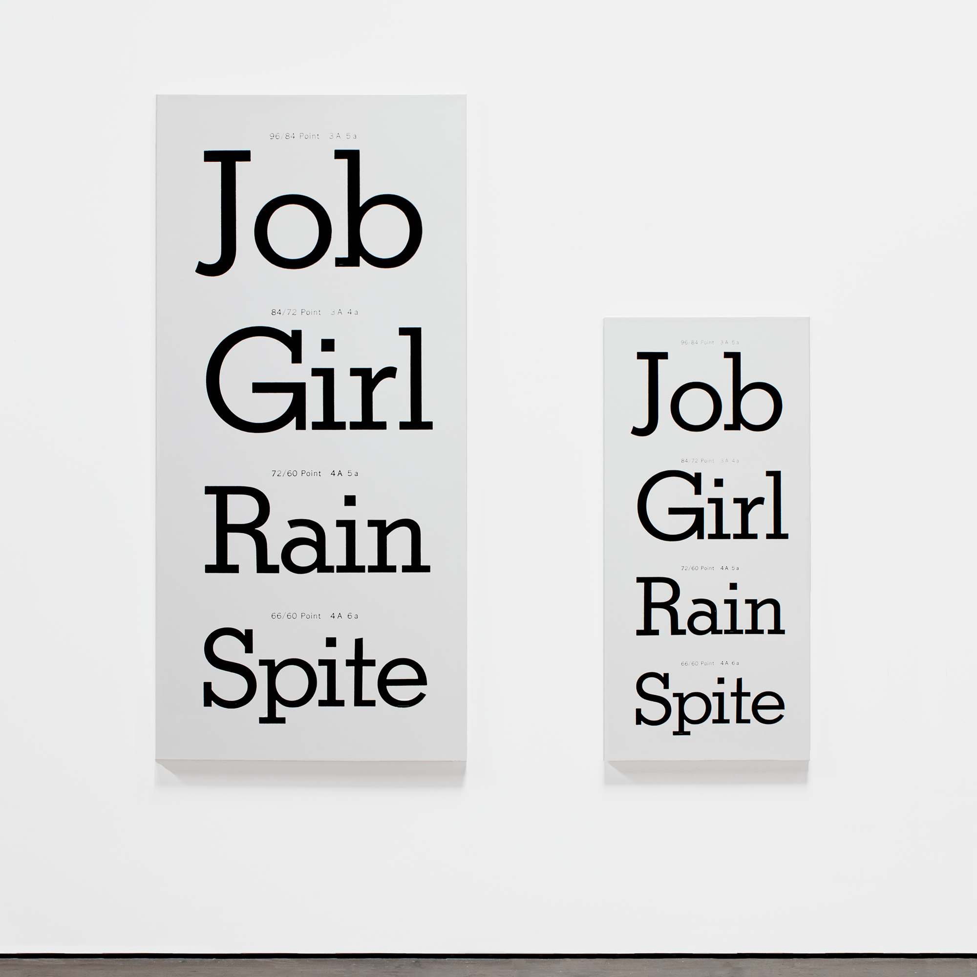 AMERICAN TYPES series