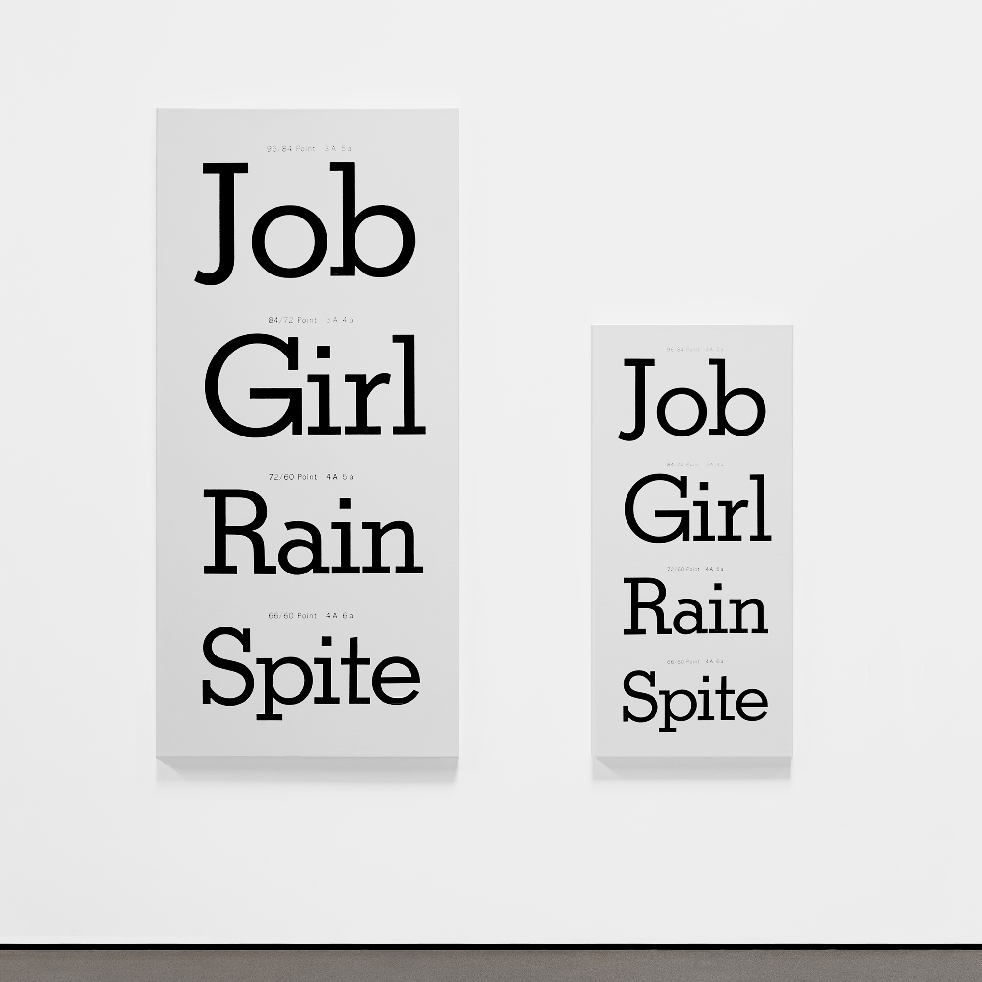 AMERICAN TYPES series