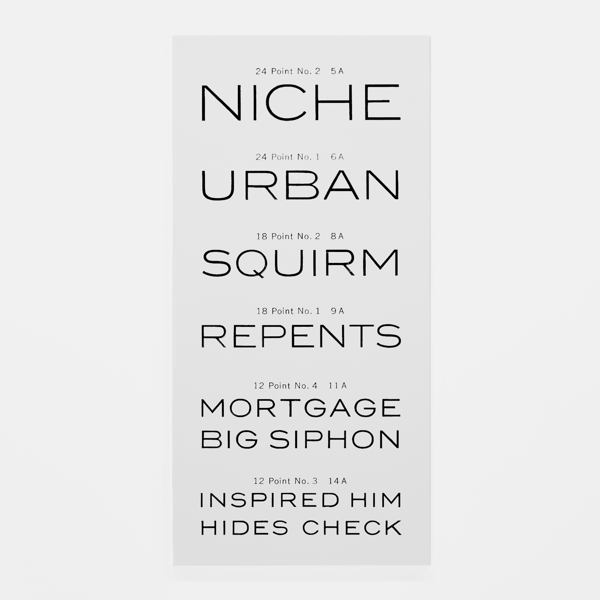 AMERICAN TYPES series