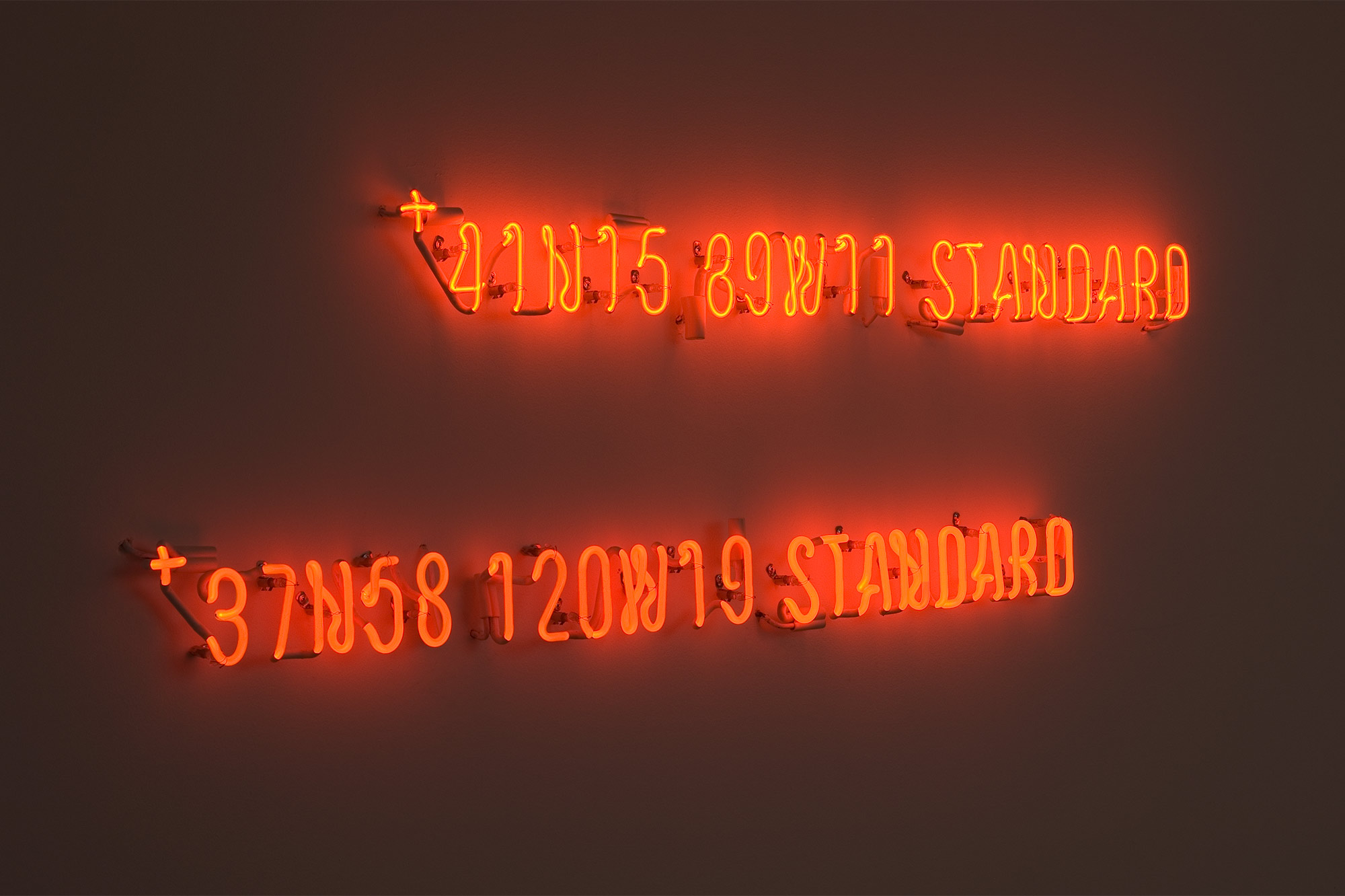 SCULPTURE (NEON)