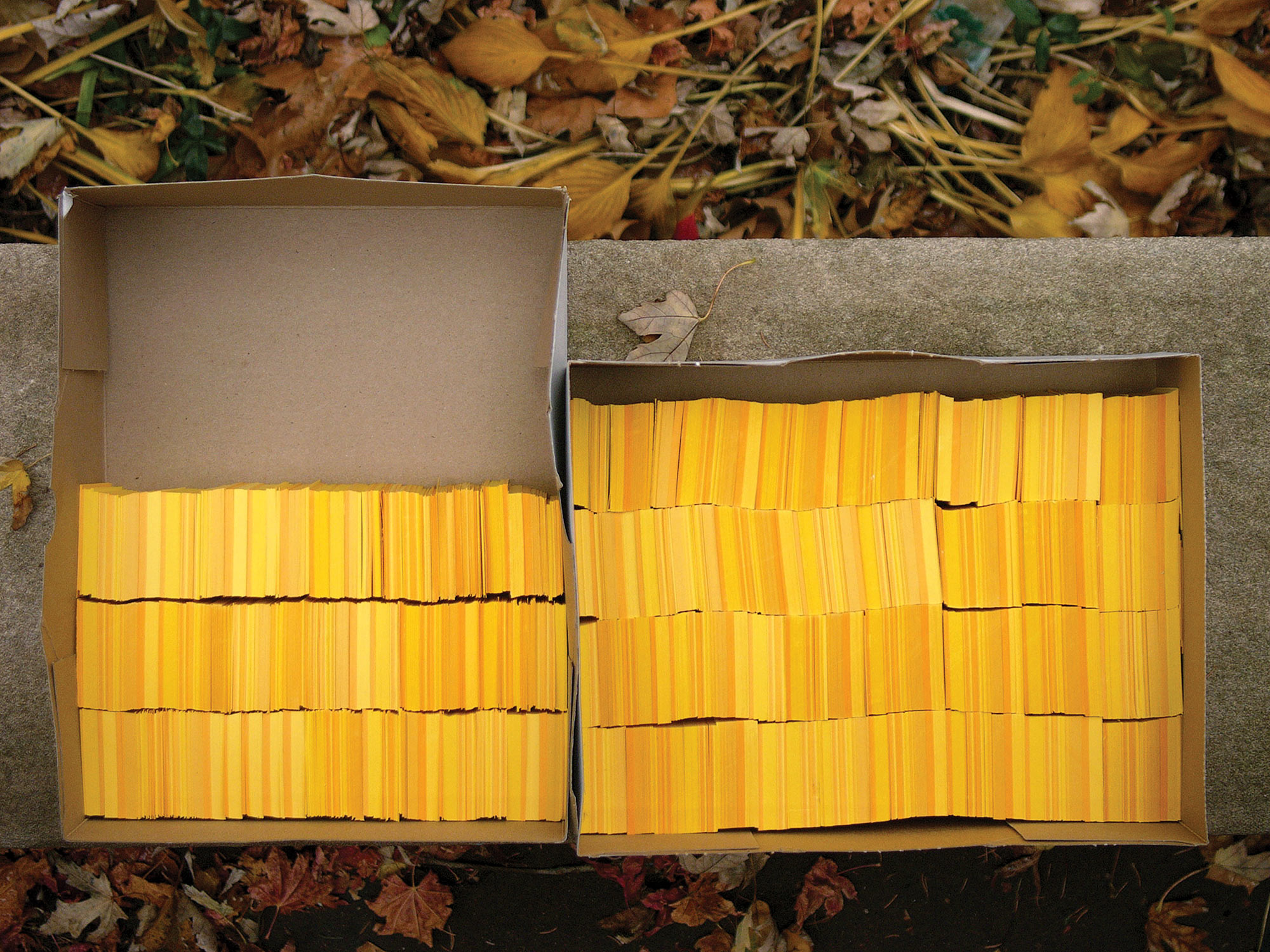 YELLOW INTERVAL & related works